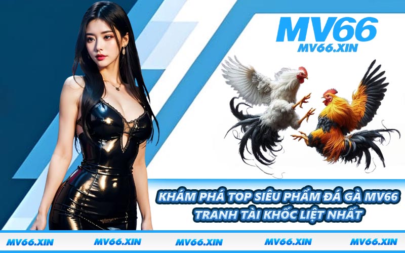 Khám phá top siêu phẩm đá gà MV66 tranh tài khốc liệt nhất
