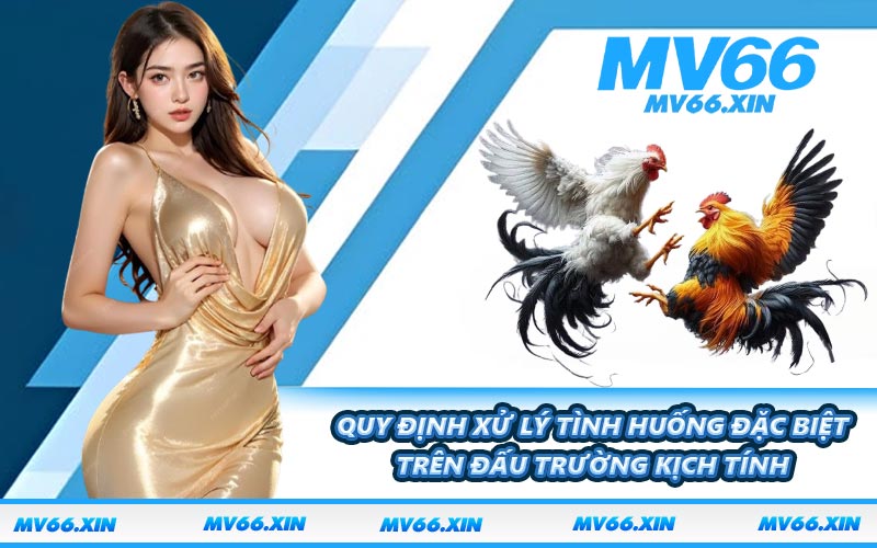 Quy định xử lý tình huống đặc biệt trên đấu trường kịch tính
