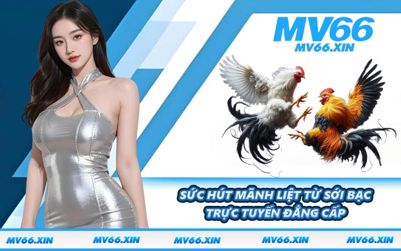 Sức hút mãnh liệt từ sới bạc trực tuyến đẳng cấp